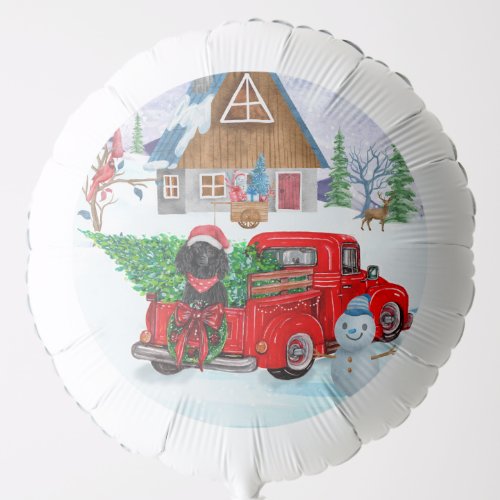 Poodle Dog In Christmas Delivery Truck Snow Balloon