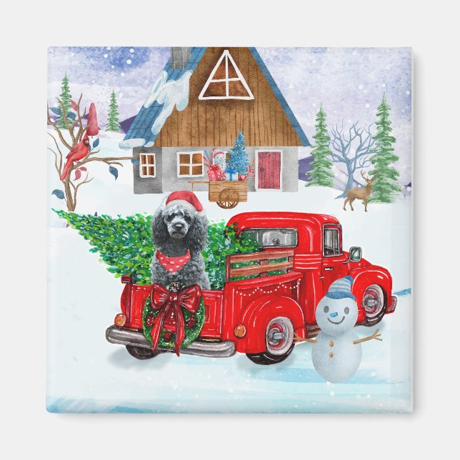 Poodle Dog In Christmas Delivery Truck Snow Magnet (Front)