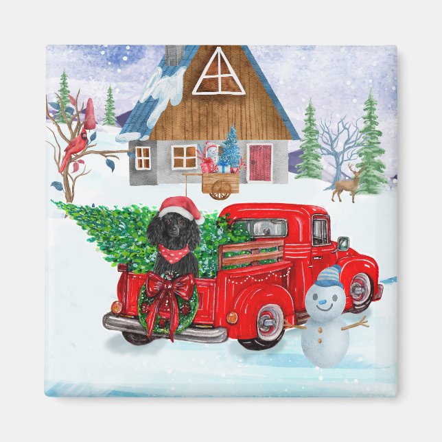 Poodle Dog In Christmas Delivery Truck Snow Magnet (Front)