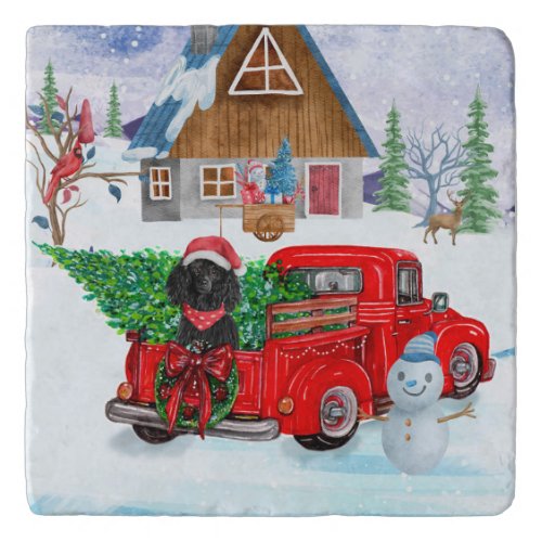 Poodle Dog In Christmas Delivery Truck Snow Trivet