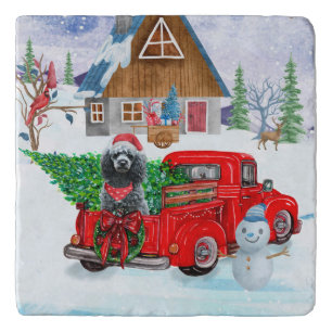 Poodle Dog In Christmas Delivery Truck Snow Trivet