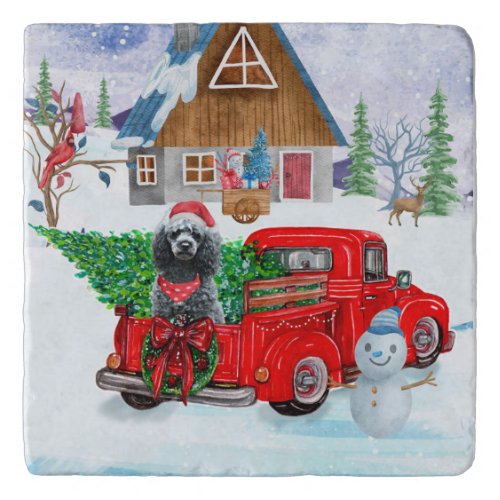 Poodle Dog In Christmas Delivery Truck Snow Trivet