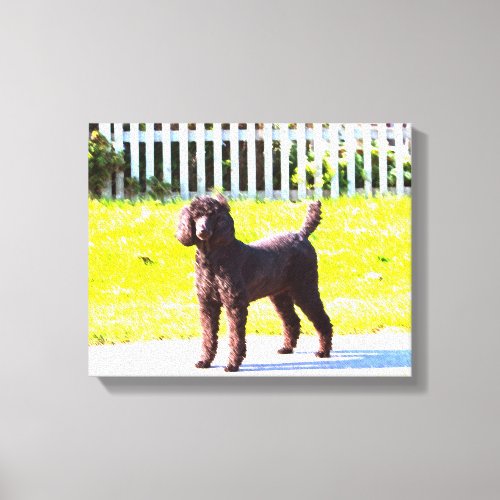 Poodle Dog in grass Paint Brush Art Canvas