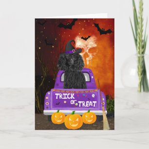 Poodle Dog in Halloween Truck Card