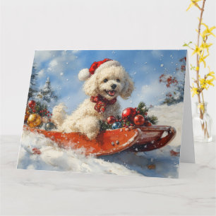 Poodle Dog in Sledge Let it Snow Christmas Card