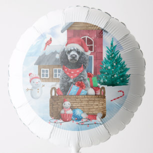 Poodle Dog In snow Christmas Dog House Balloon