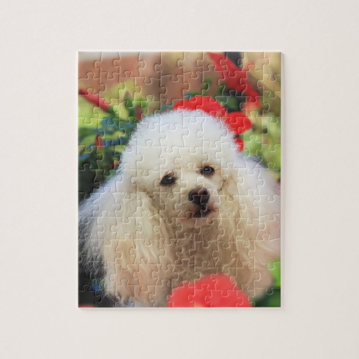 Poodle Dog Jigsaw puzzle