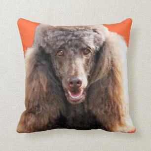 Poodle Dog Portrait Throw Pillow
