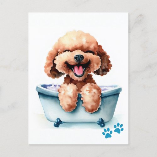 Poodle Dog Postcard