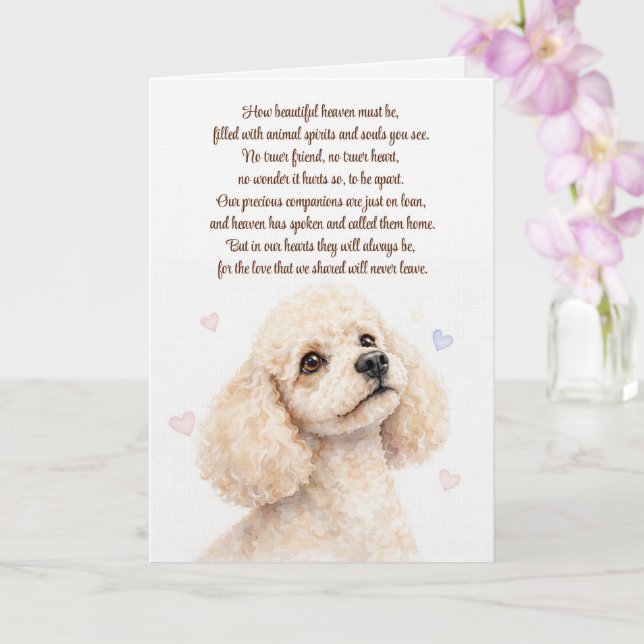 Poodle Dog Sympathy Loss Condolences Card (Orchid)
