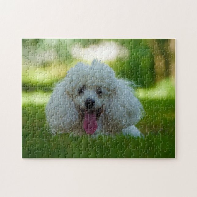 Poodle Dogs. Jigsaw Puzzle (Horizontal)