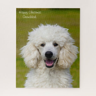 Poodle Dogs. Jigsaw Puzzle