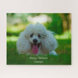 Poodle Dogs. Jigsaw Puzzle