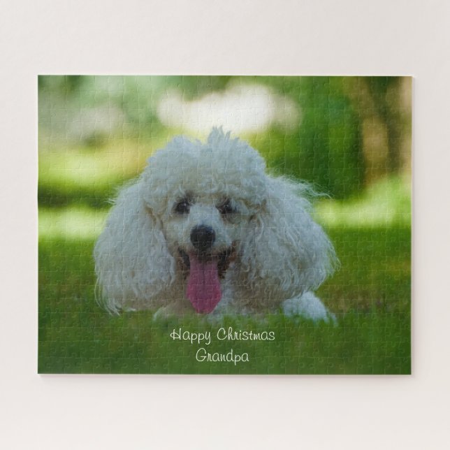 Poodle Dogs. Jigsaw Puzzle (Horizontal)