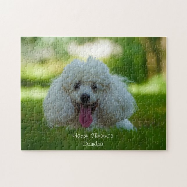 Poodle Dogs. Jigsaw Puzzle (Horizontal)