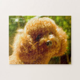 Poodle Dogs. Jigsaw Puzzle