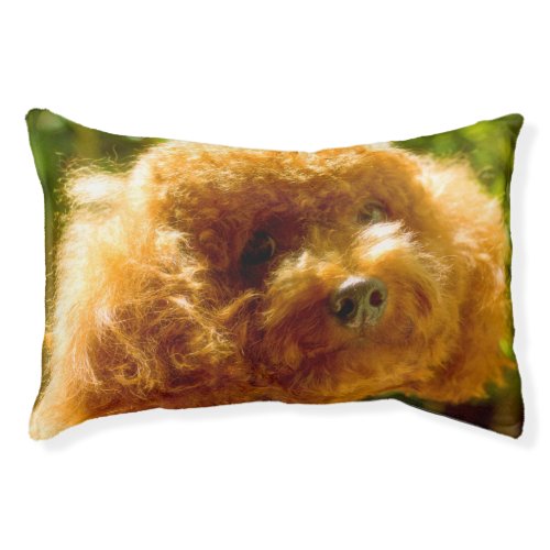 Poodle Dogs Pet Bed