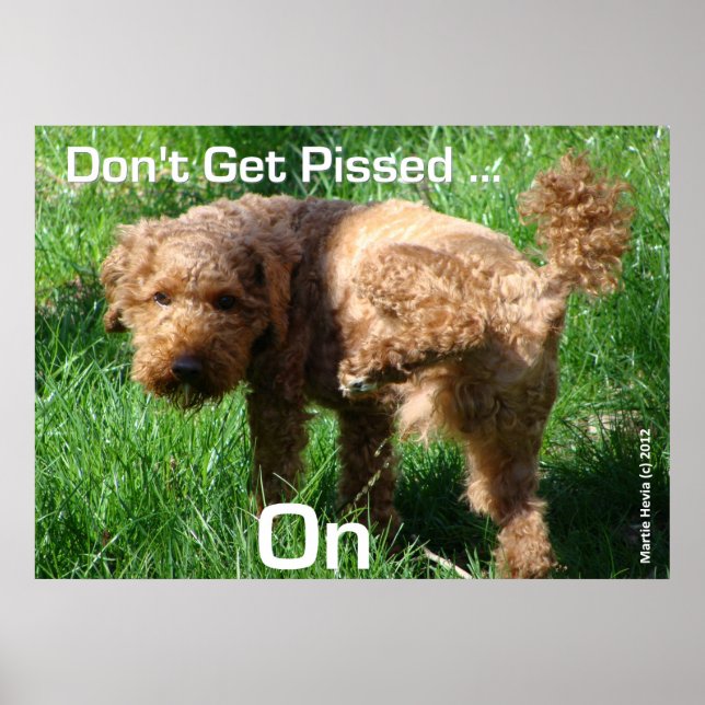 Poodle - Don't Get Pissed - Poster (Front)