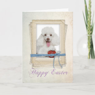 Poodle Easter Card