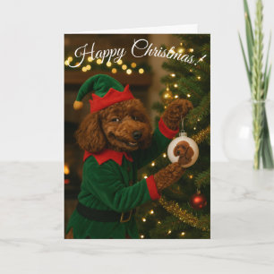 Poodle Elf cute funny bauble Christmas card