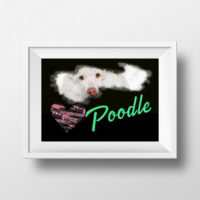 Poodle Eyes Solid Color Poster (Creator Uploaded)