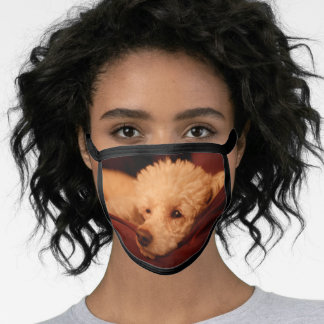 poodle face mask