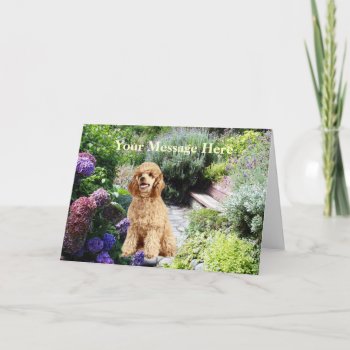 Poodle Garden Greeting Card by normagolden at Zazzle