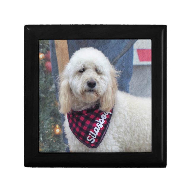 Poodle Gift Box (Front)