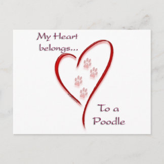 Poodle Heart Belongs Postcard