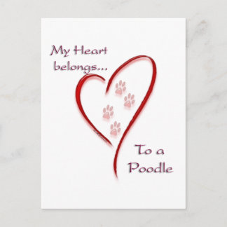 Poodle Heart Belongs Postcard