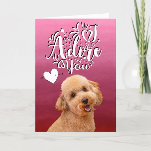 Poodle I adore you Valentines Day Holiday Card