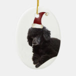 Poodle In A Santa Hat Ornament at Zazzle