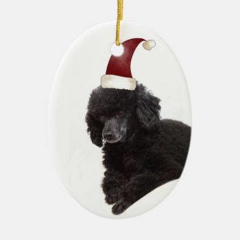 Poodle In A Santa Hat Ornament by WhitewavesChristmas at Zazzle