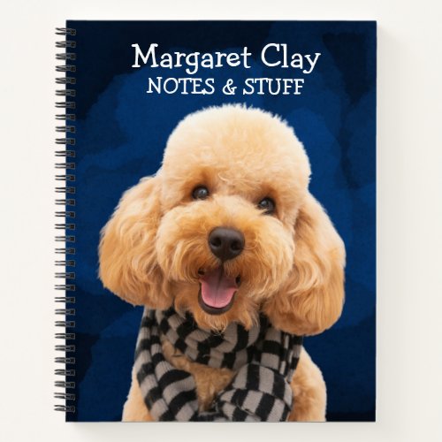 Poodle in a scarf  notebook