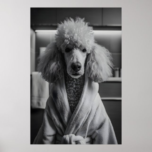 Poodle in Bathrobe Art Print, Funny Dog Bathroom Poster (Front)