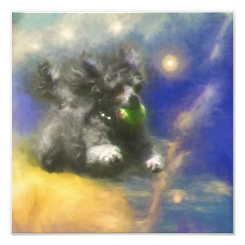 POODLE IN HEAVEN BALL PATROL PHOTO PRINT