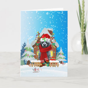 Poodle in snow with Christmas gifts Card