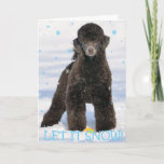 Poodle In The Snow Holiday Card at Zazzle