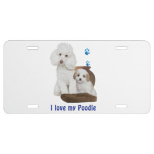 poodle license plate