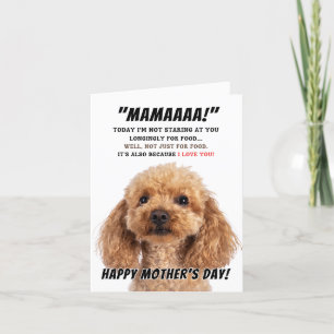 Poodle love for mother's day letterpress thank you card