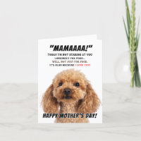Poodle love for mother's day