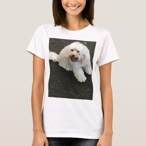 Poodle lover woman  T_Shirt