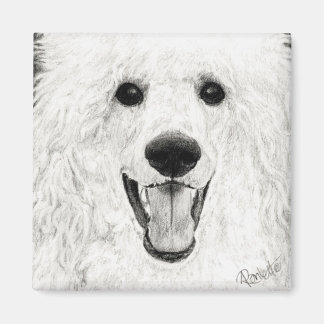 Poodle Magnet - "Jolly Boy"