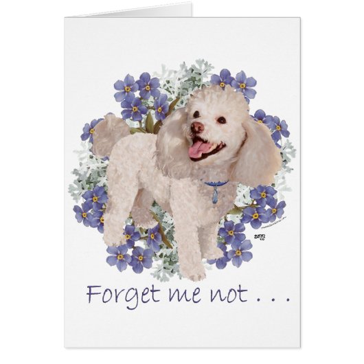 Poodle Memories Cards (Front)
