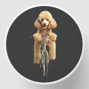 Poodle mini candle favors