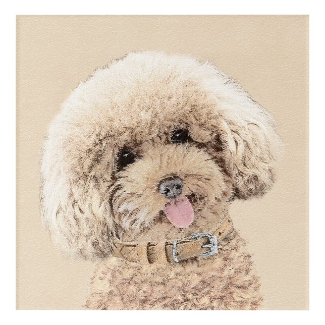 Poodle Miniature Toy Apricot Cream Brown Dog Art (Front)