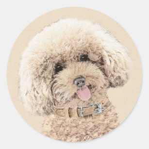 Poodle Miniature Toy Apricot Cream Brown Dog Art Classic Round Sticker