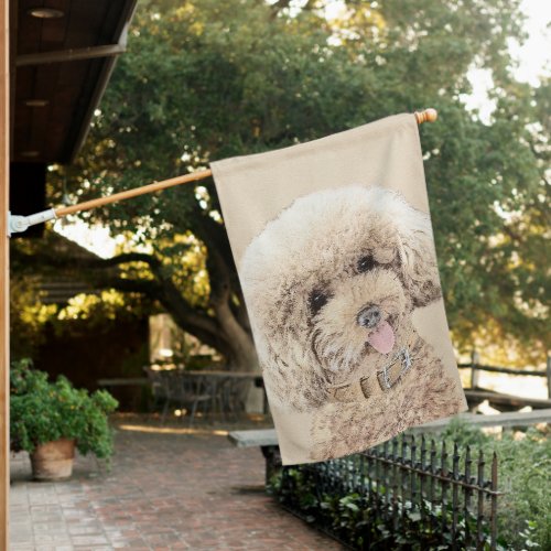 Poodle Miniature Toy Apricot Cream Brown Dog Art House Flag