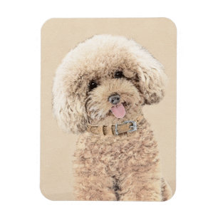 Poodle Miniature Toy Apricot Cream Brown Dog Art Magnet