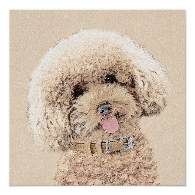 Poodle Miniature Toy Apricot Cream Brown Dog Art Poster (Front)
